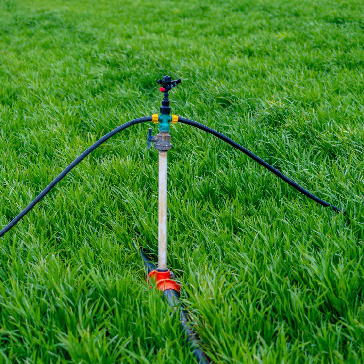 Irrigation services in Highland Park, TX Irrigation services in Highland Park, TX