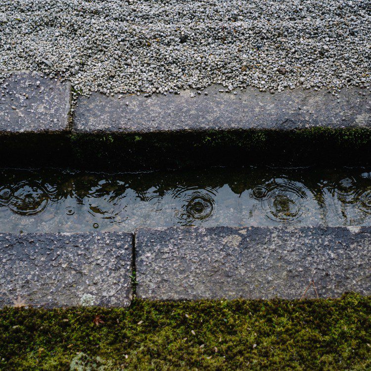 Irrigation services in Highland Park, TX Irrigation services in Highland Park, TX